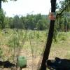 paintball024.jpg